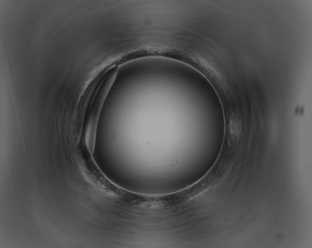 X0000091660492200708231309