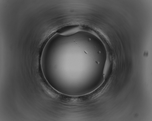 X0000091660493200708231309