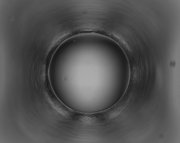 X0000091660494200708231309