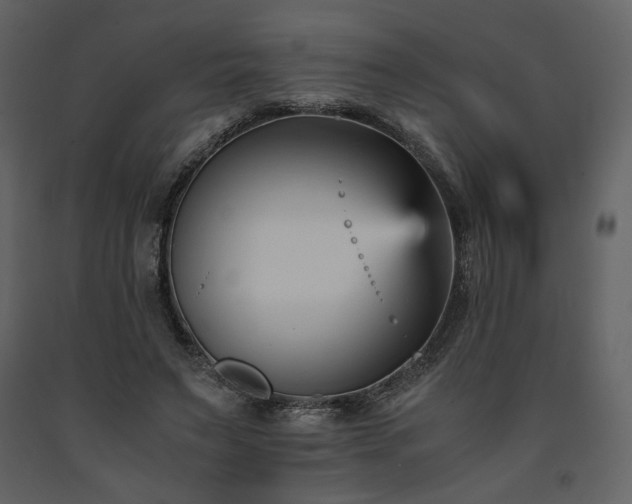X0000091660495200708231309