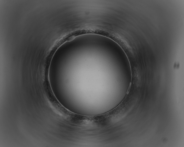 X0000091660496200708231309