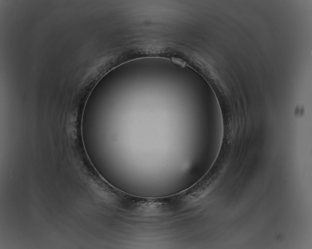 X0000091660497200708231309