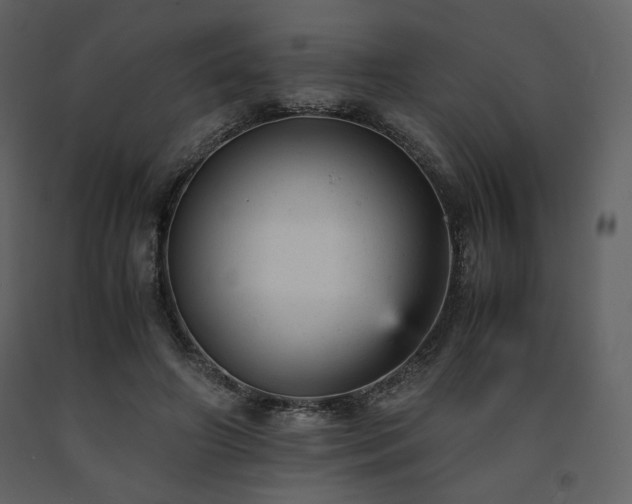 X0000091660498200708231309