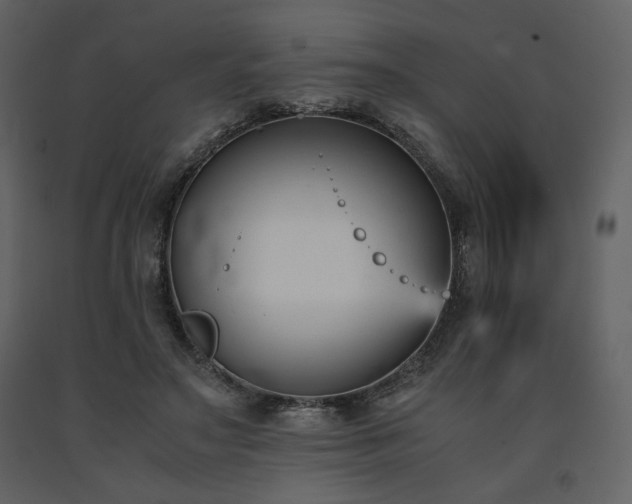 X0000091660499200708231309