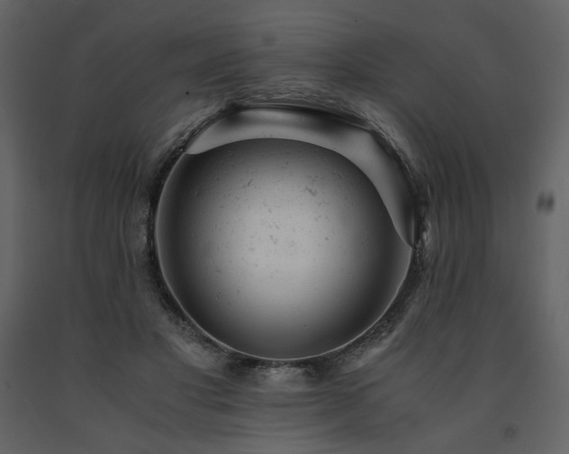 X0000091660501200708231309