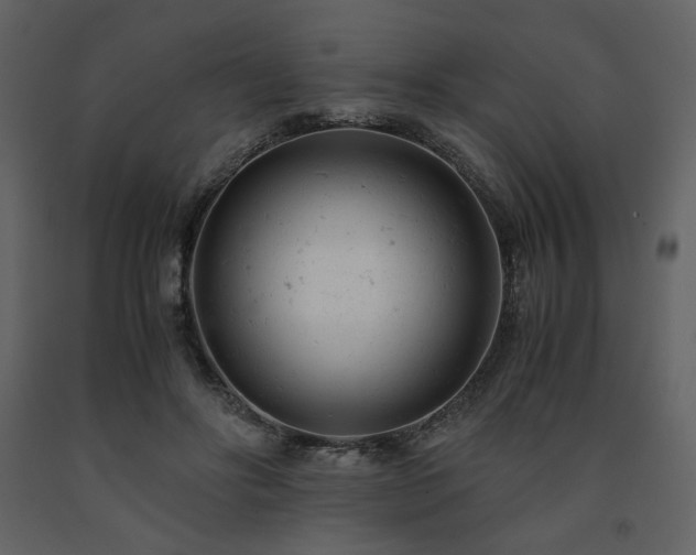 X0000091660502200708231309