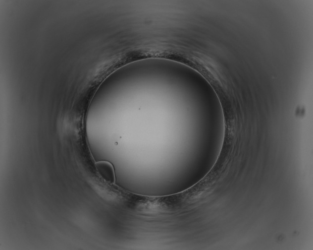 X0000091660503200708231309
