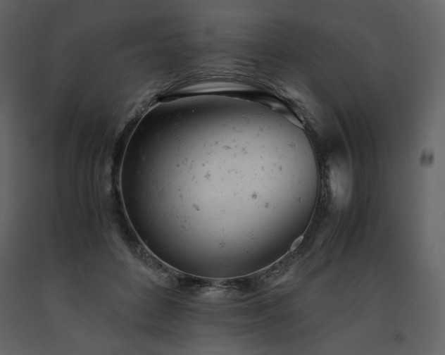 X0000091660504200708231309