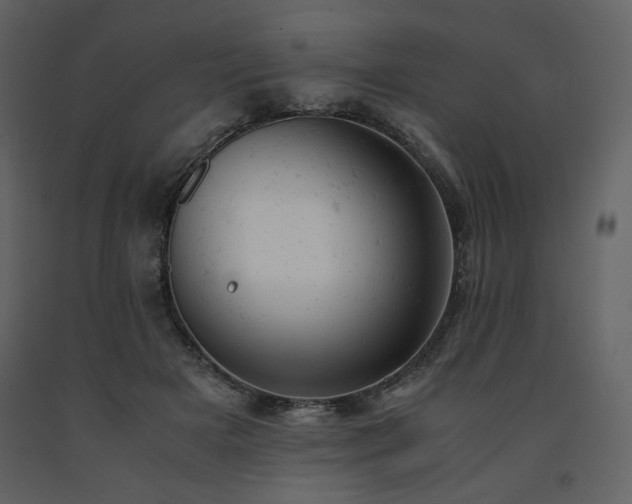 X0000091660505200708231309