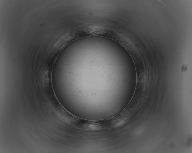 X0000091660506200708231309