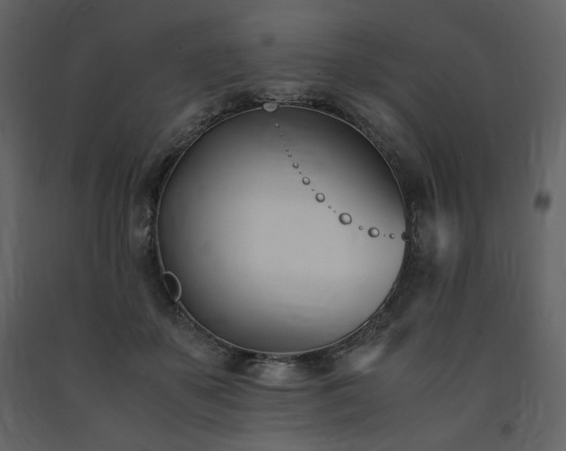 X0000091660507200708231309