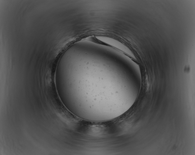 X0000091660508200708231309