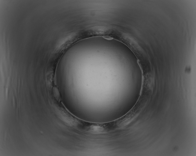 X0000091660509200708231309