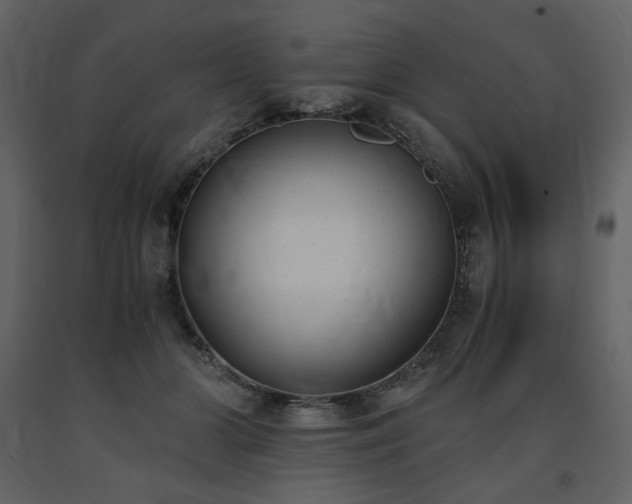 X0000091660510200708231309