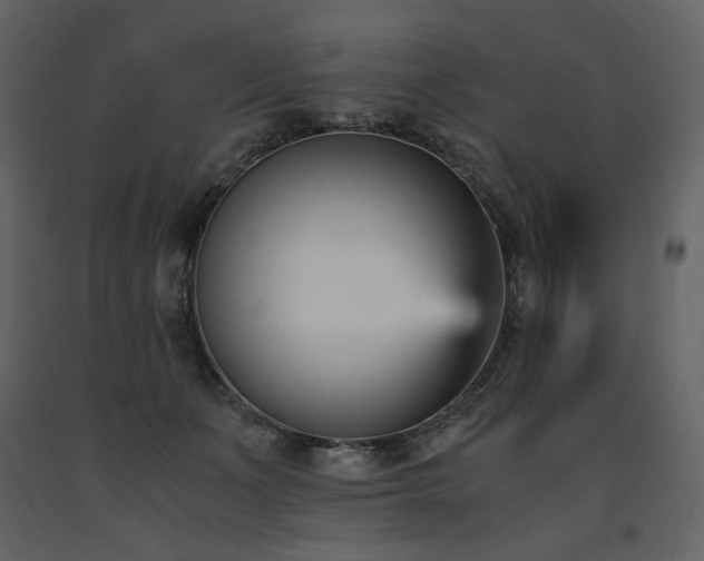 X0000091660511200708231309