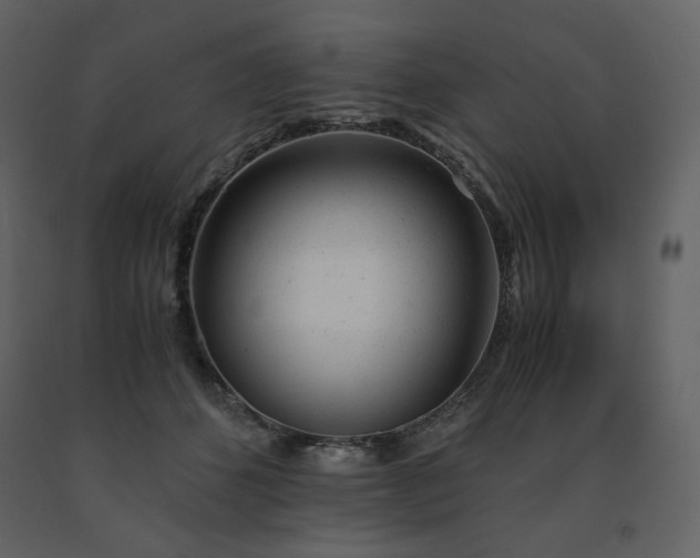 X0000091660512200708231309