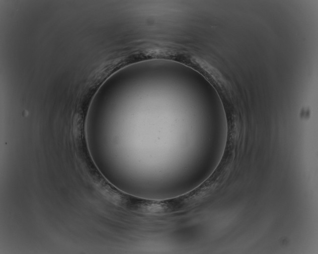X0000091660513200708231309