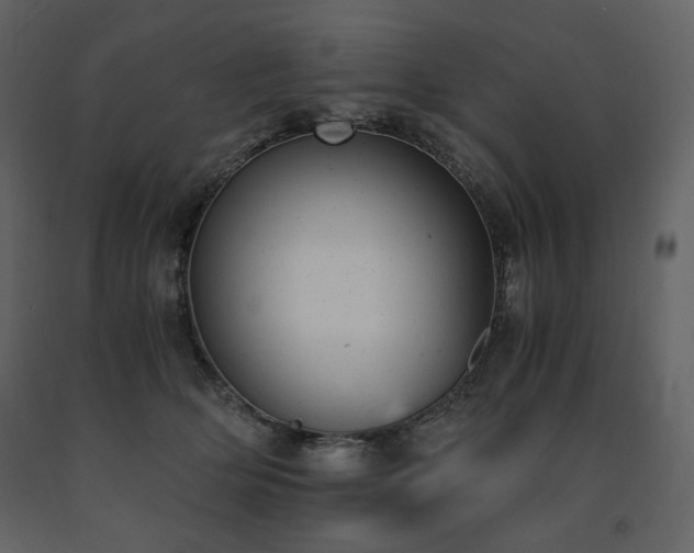 X0000091660514200708231309