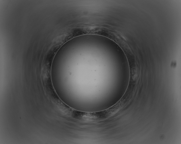 X0000091660515200708231309