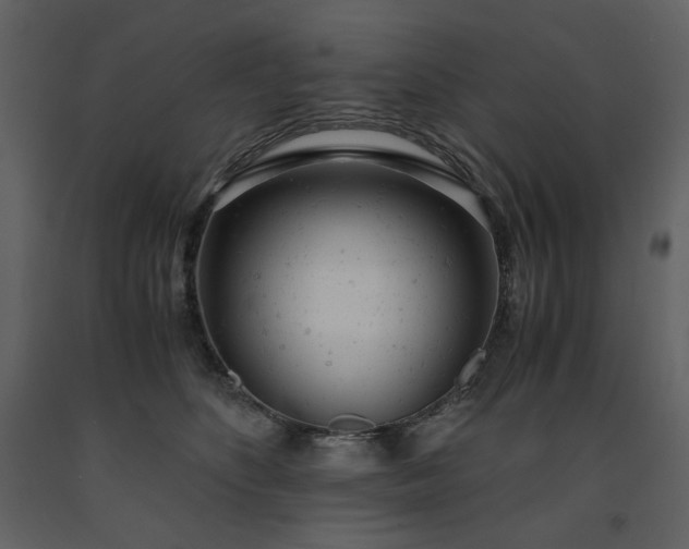X0000091660516200708231309
