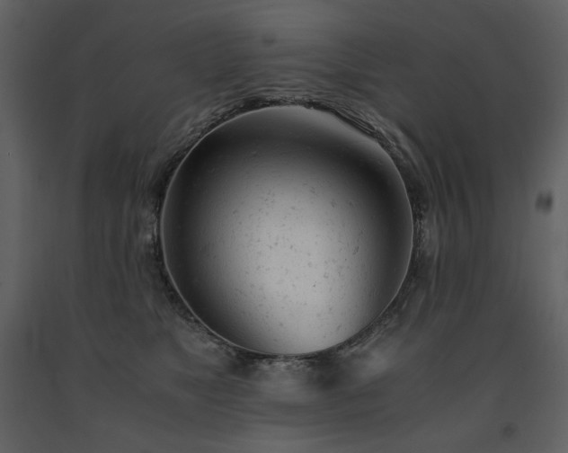 X0000091660517200708231309