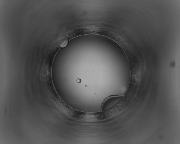 X0000091660518200708231309