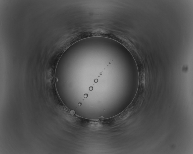 X0000091660519200708231309