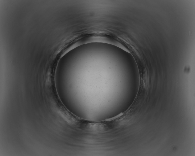 X0000091660520200708231309