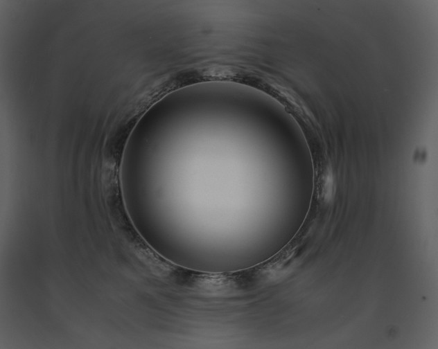 X0000091660521200708231309