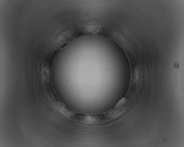 X0000091660522200708231309