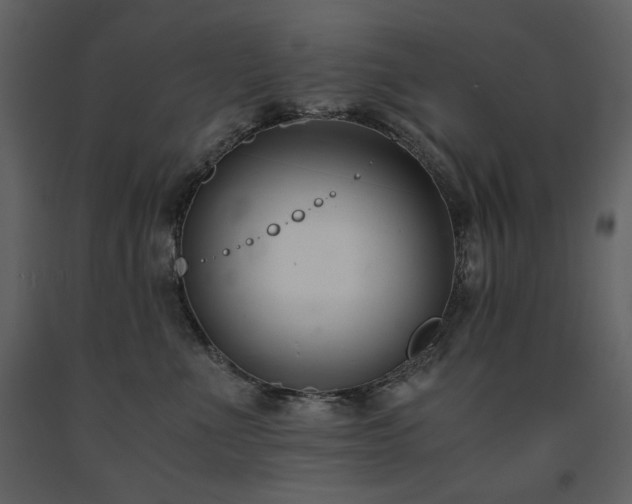 X0000091660523200708231309