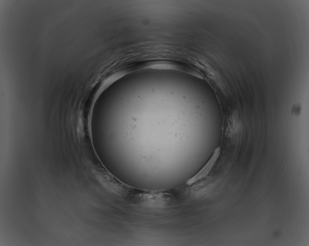 X0000091660524200708231309