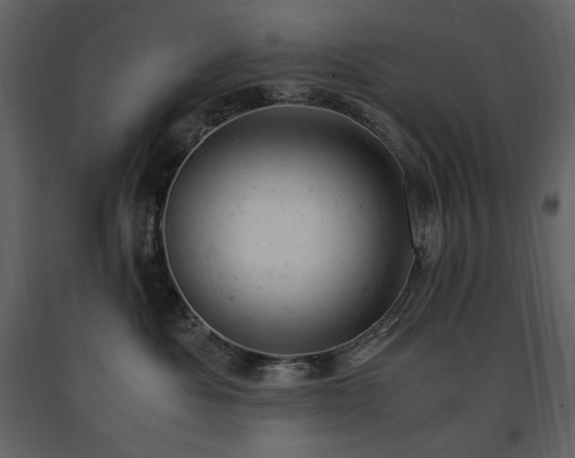 X0000091660525200708231309