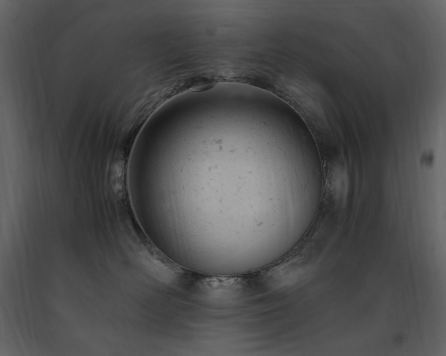 X0000091660526200708231309
