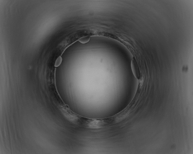 X0000091660527200708231309