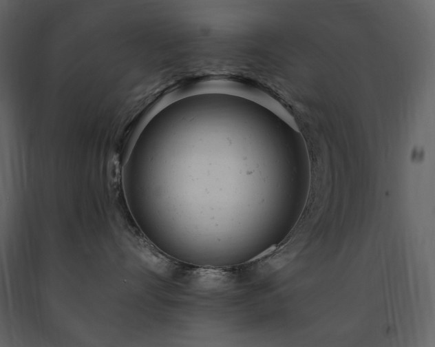 X0000091660528200708231309