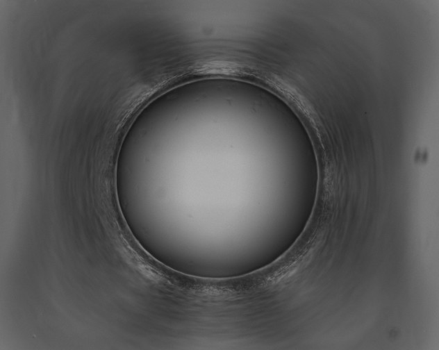 X0000091660529200708231308