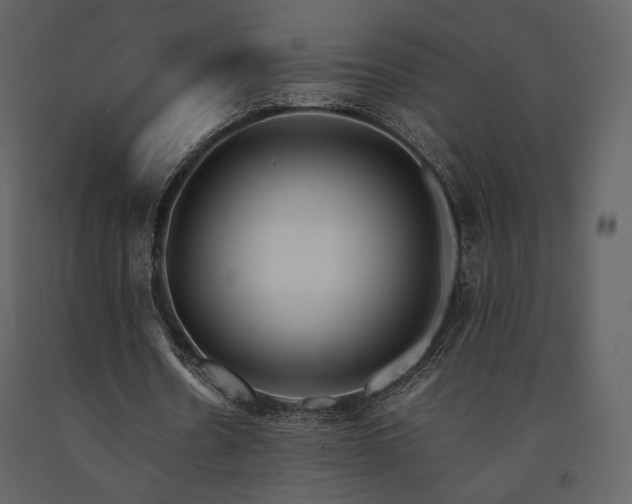 X0000091660530200708231308