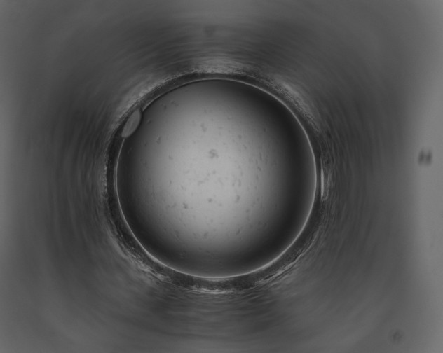 X0000091660531200708231308
