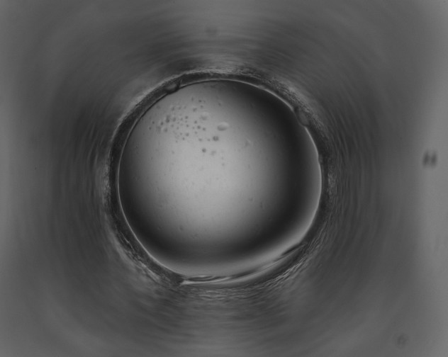 X0000091660532200708231308