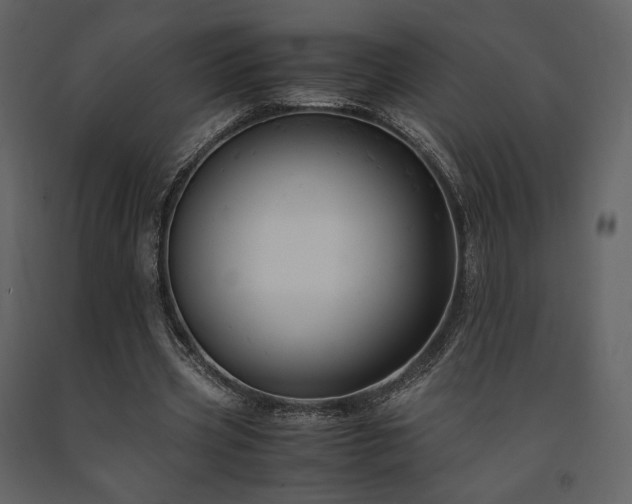 X0000091660533200708231308