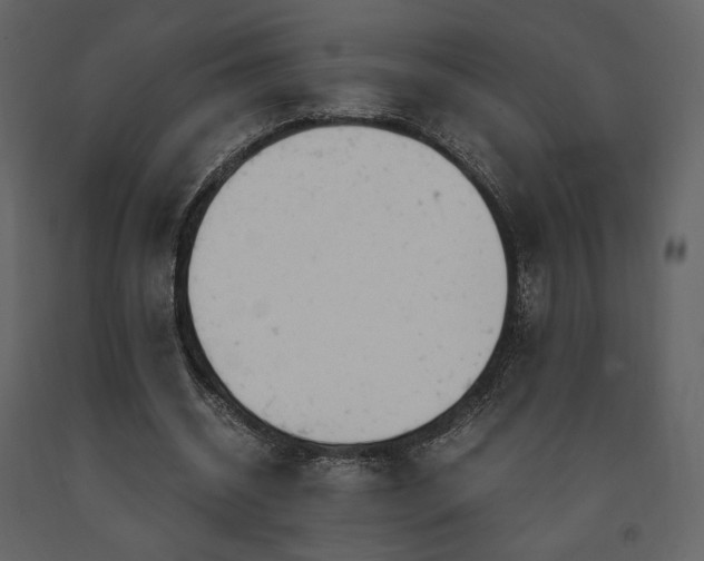 X0000091660534200708231308