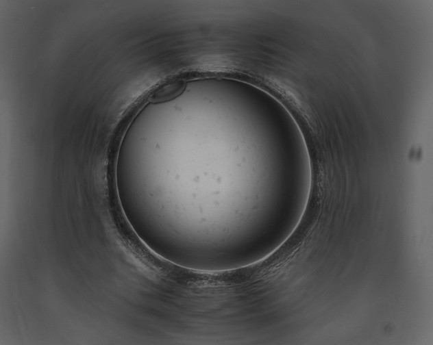 X0000091660535200708231308