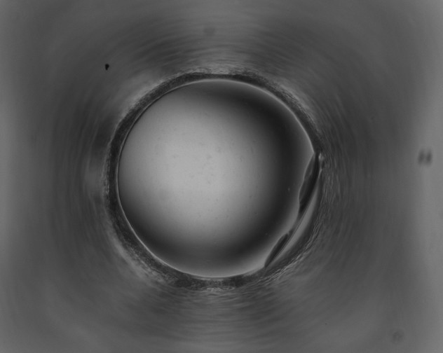 X0000091660536200708231308