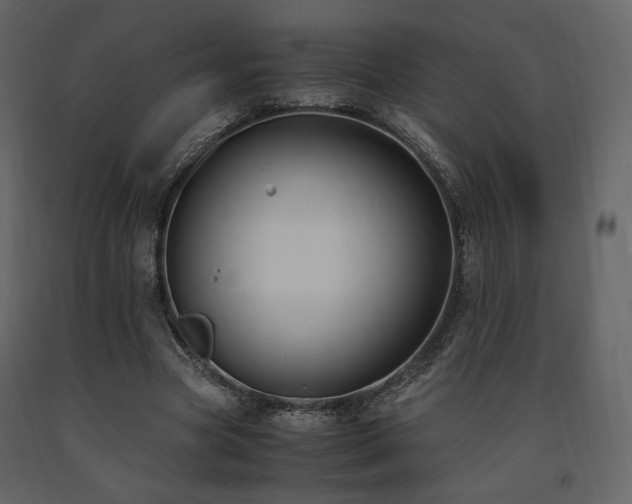 X0000091660537200708231308