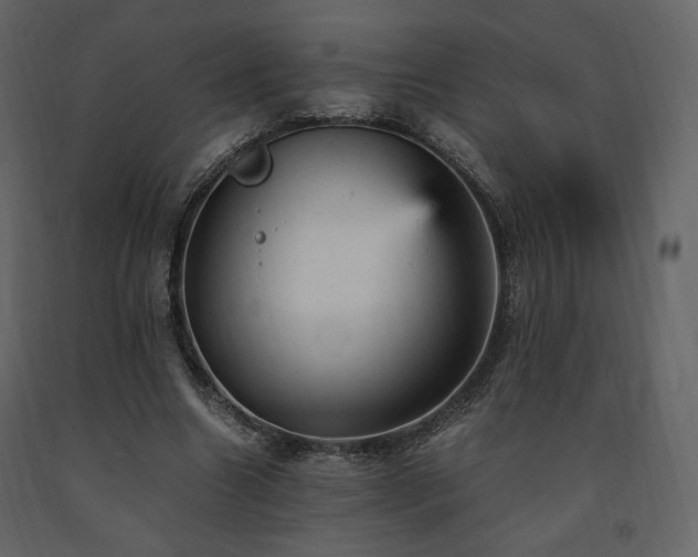 X0000091660538200708231308