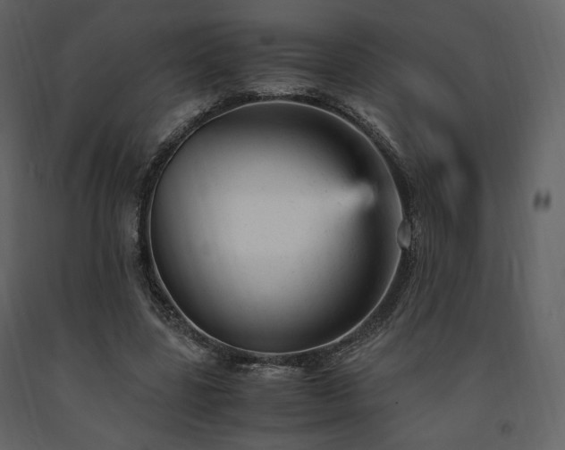 X0000091660539200708231308
