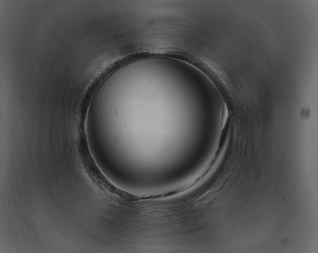 X0000091660540200708231308