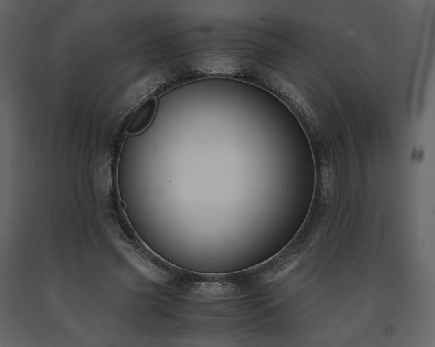 X0000091660541200708231308