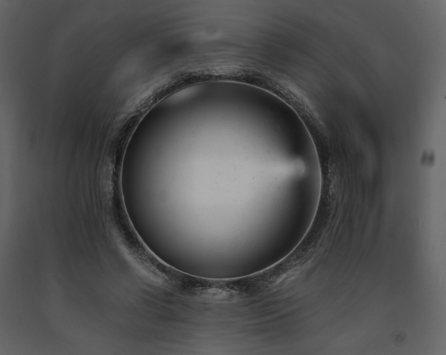 X0000091660542200708231308